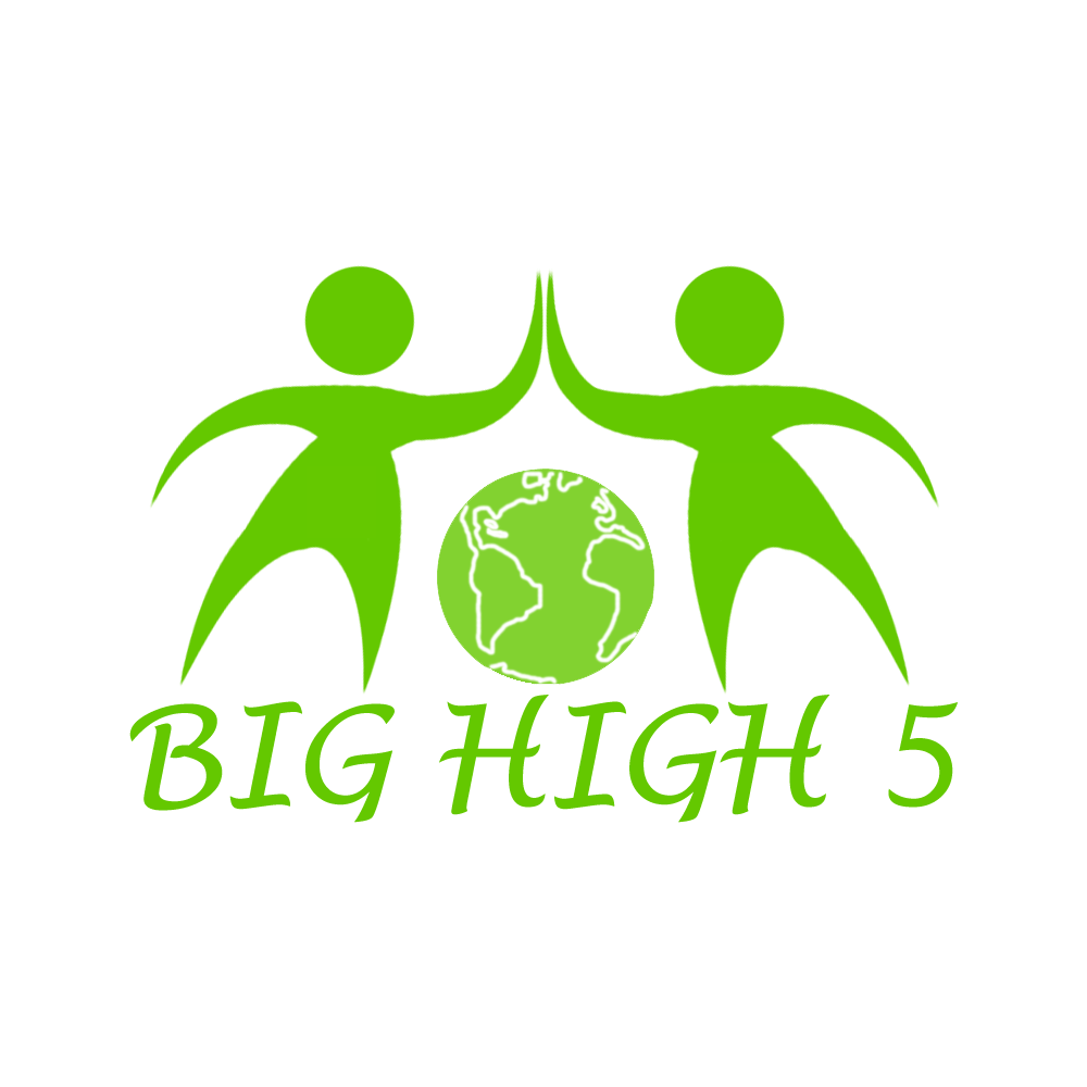 Big High 5